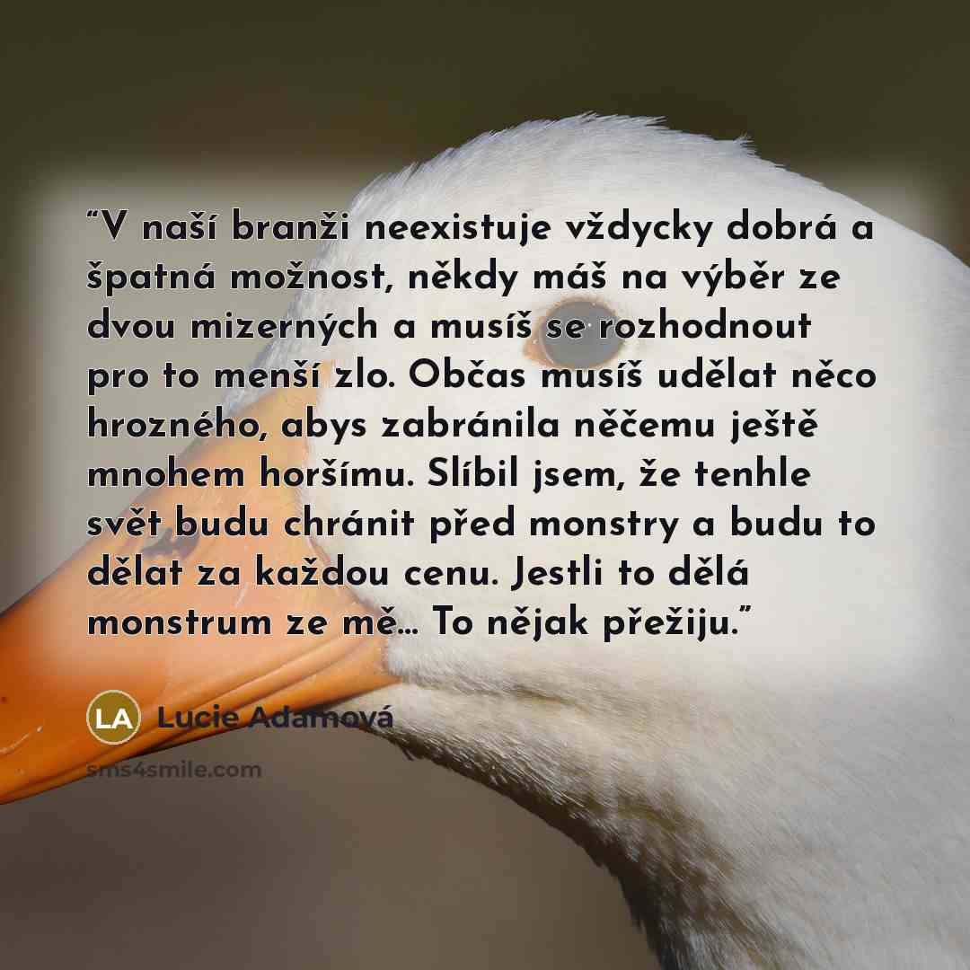 “V naší branži neexistuje vždycky dobrá a špatná možnost, někdy máš na výběr ze dvou mizerných a musíš se rozhodnout pro to menší zlo. Občas musíš udělat něco hrozného, abys zabránila něčemu ještě mnohem horšímu. Slíbil jsem, že tenhle svět budu chránit před monstry a budu to dělat za každou cenu…” quote by Lucie Adamová