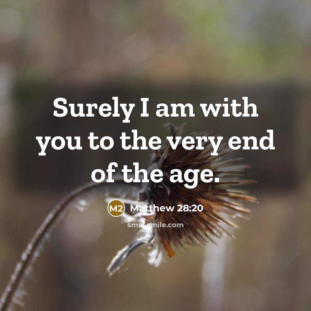 “Surely I am with you to the very end of the age.” quote by Matthew 28:20