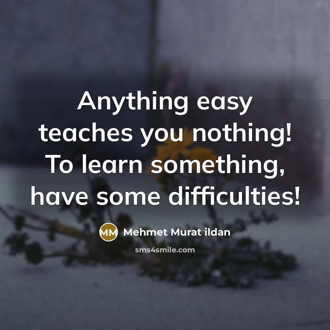 “Anything easy teaches you nothing! To learn something, have some…” quote by Mehmet Murat Ildan