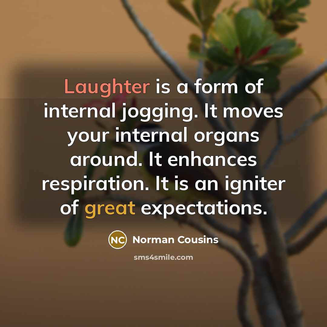 “Laughter is a form of internal jogging. It moves your internal organs around. It enhances respiration. It is an igniter of great expectations.” quote by Norman Cousins