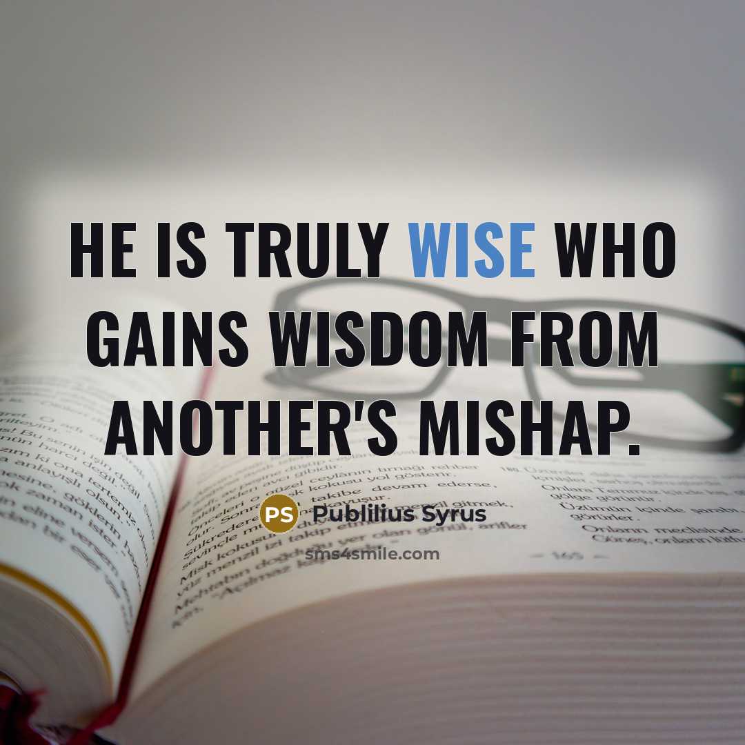 “He is truly wise who gains wisdom from another's mishap.…” quote by Publilius Syrus