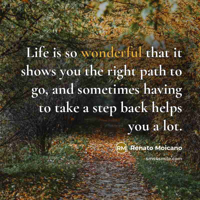 “Life is so wonderful that it shows you the right…” quote by Renato Moicano