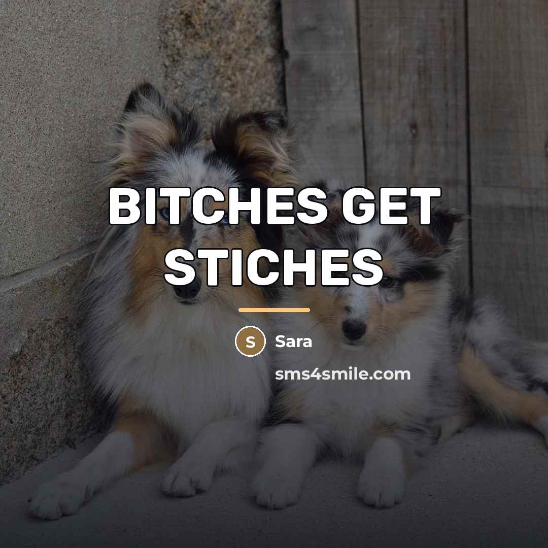“BITCHES GET STICHES…” quote by Sara