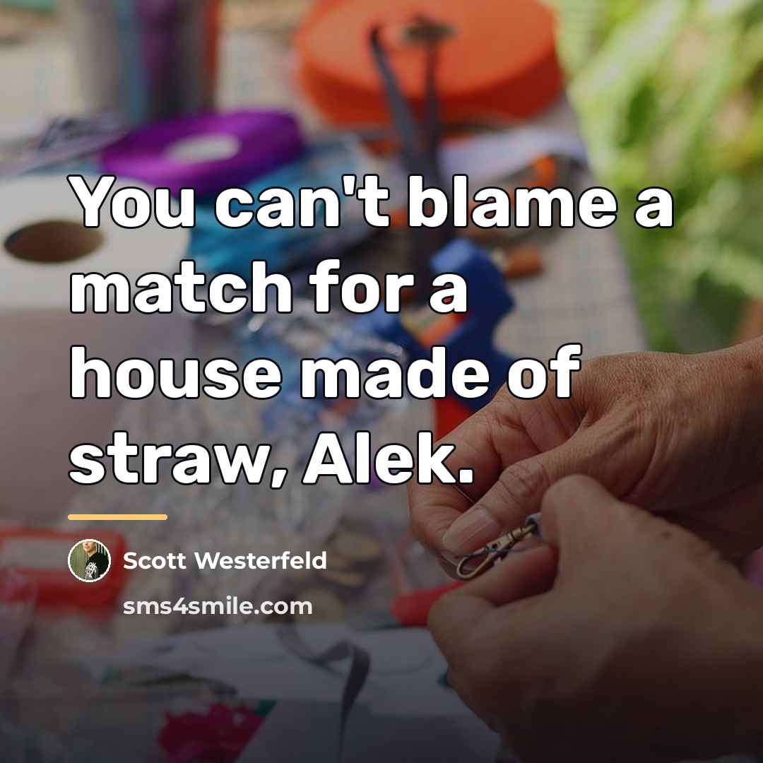 “You can't blame a match for a house made of…” quote by Scott Westerfeld