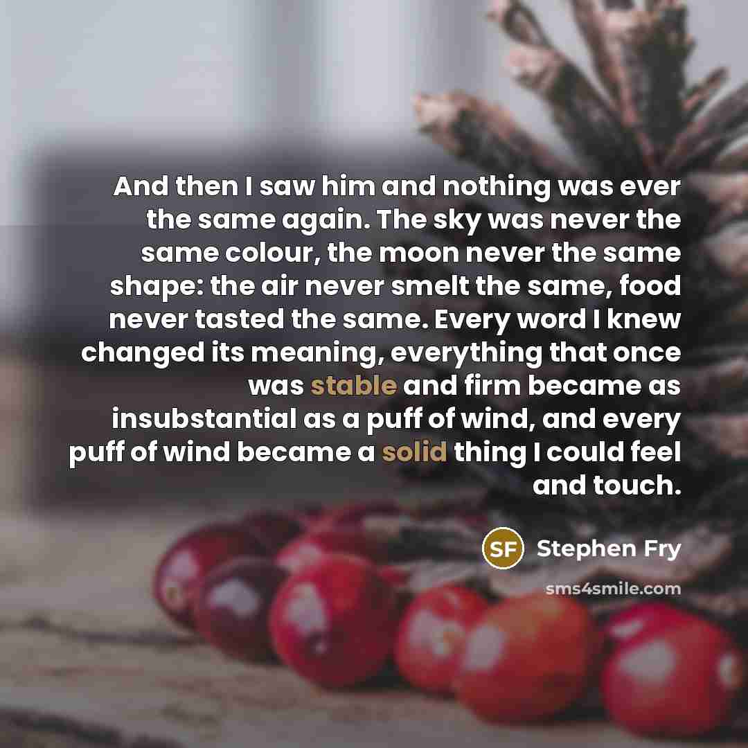 “And then I saw him and nothing was ever the…” quote by Stephen Fry