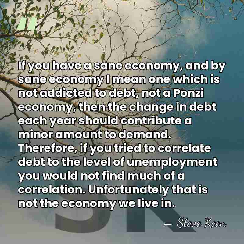 If you have a sane economy, and by sane economy I mean&hellip; - Steve Keen