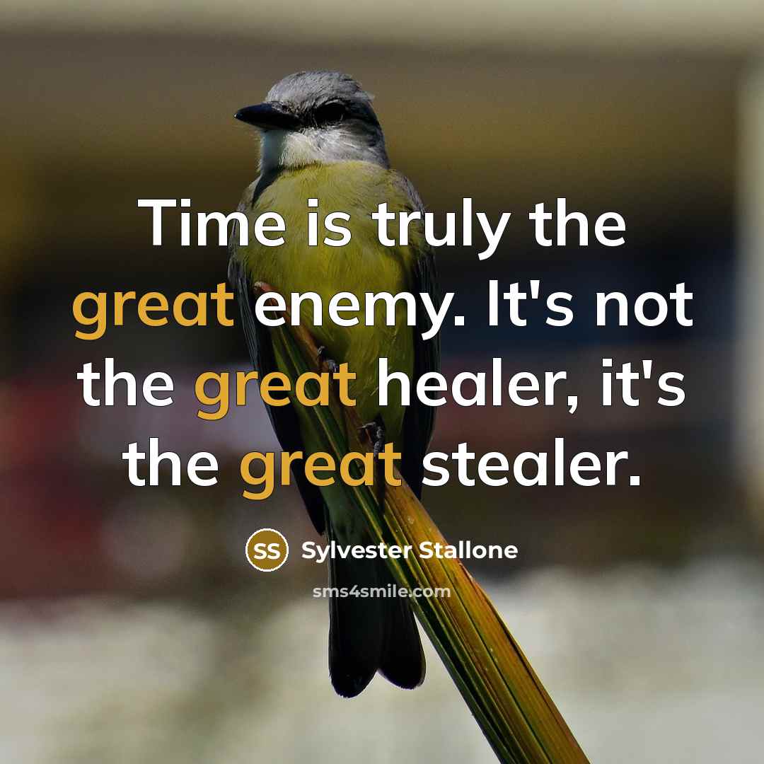 “Time is truly the great enemy. It's not the great healer, it's the great stealer.” quote by Sylvester Stallone