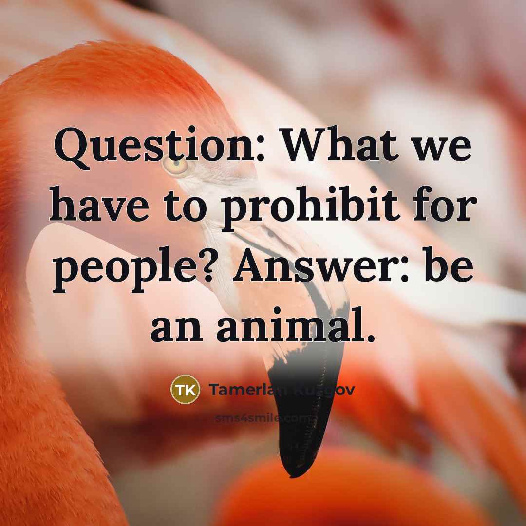“Question: What we have to prohibit for people? Answer: be…” quote by Tamerlan Kuzgov