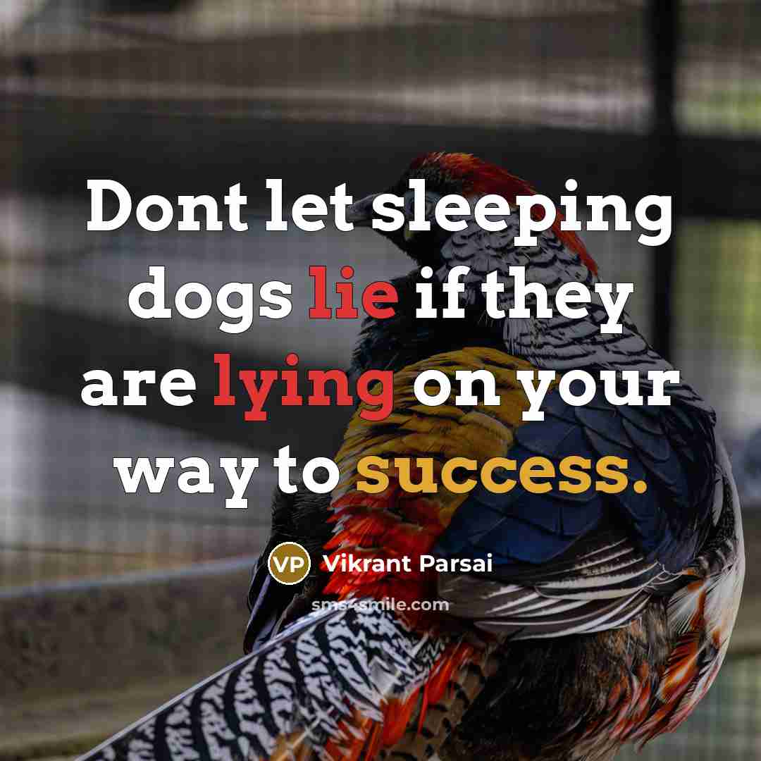 “Dont let sleeping dogs lie if they are lying on your way to success.” quote by Vikrant Parsai