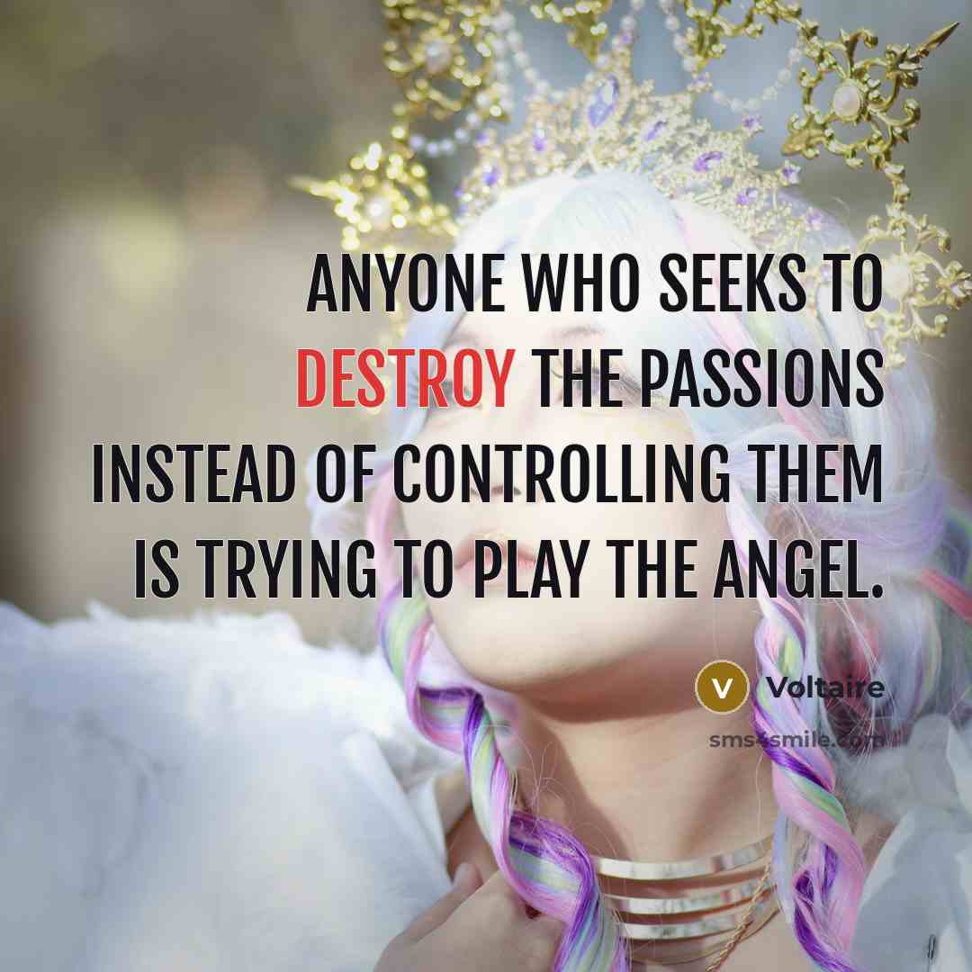 “Anyone who seeks to destroy the passions instead of controlling…” quote by Voltaire
