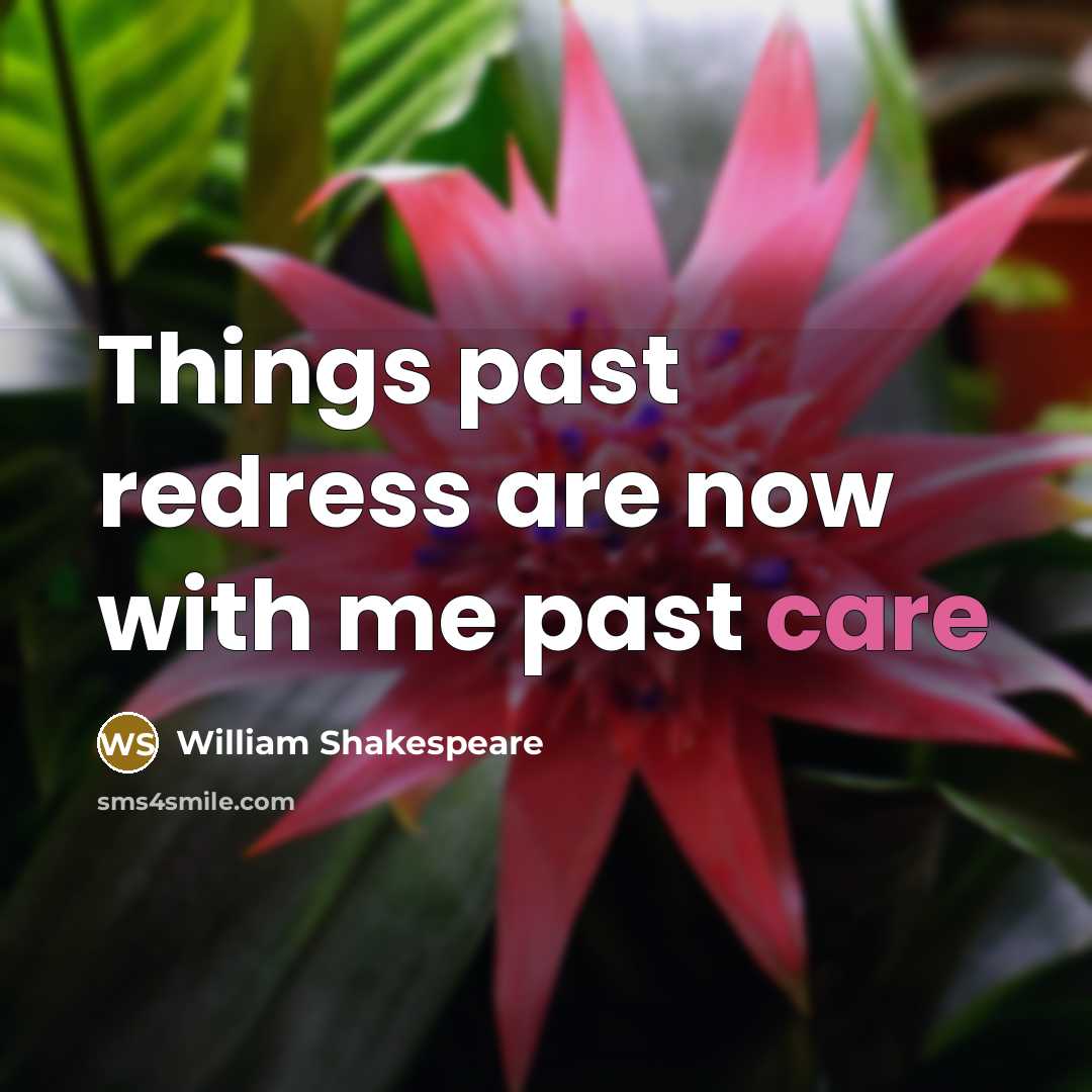 “Things past redress are now with me past care…” quote by William Shakespeare