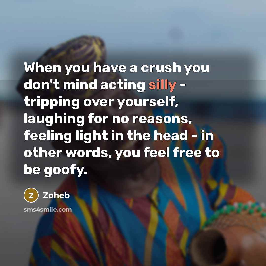 “When you have a crush you don't mind acting silly…” quote by Zoheb