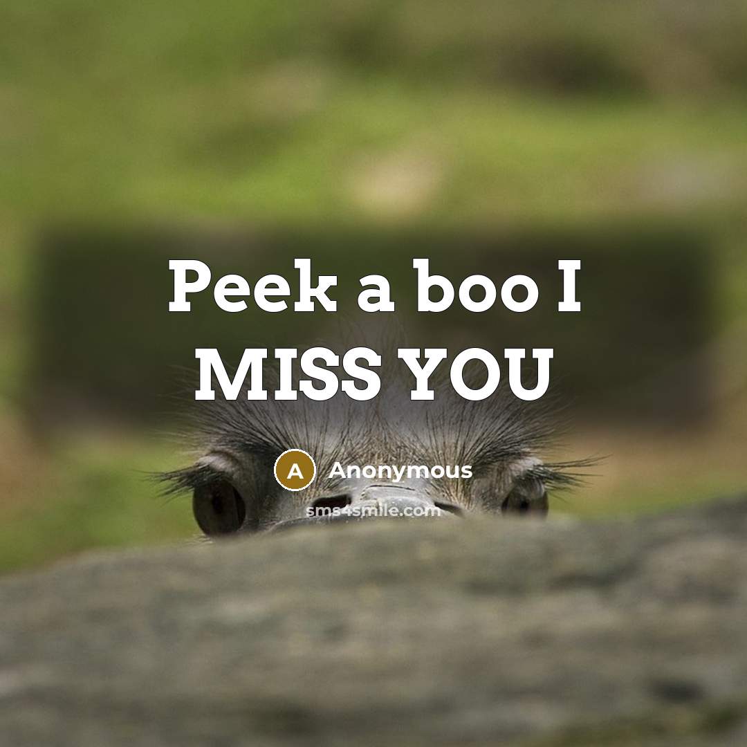 “Peek a boo I MISS YOU” quote by Anonymous