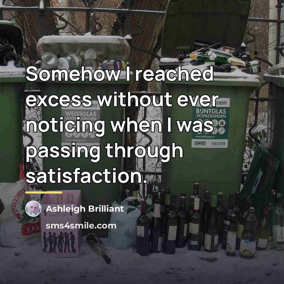 “Somehow I reached excess without ever noticing when I was…” quote by Ashleigh Brilliant