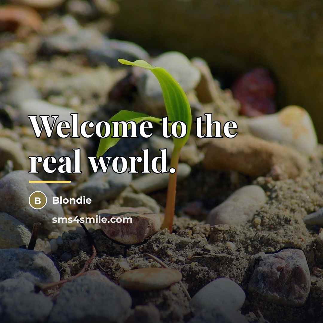 “Welcome to the real world.…” quote by Blondie