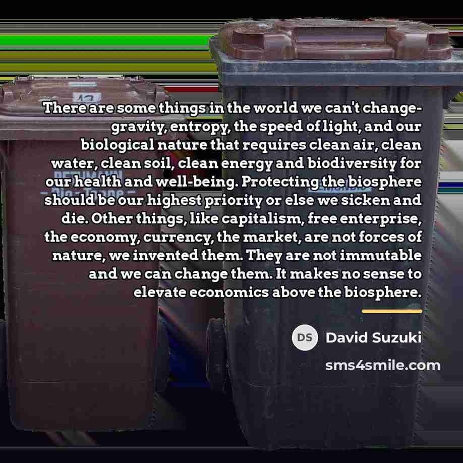 “There are some things in the world we can't change-…” quote by David Suzuki