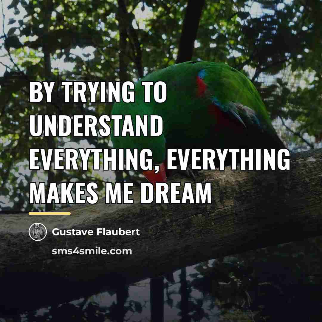 “By trying to understand everything, everything makes me dream…” quote by Gustave Flaubert