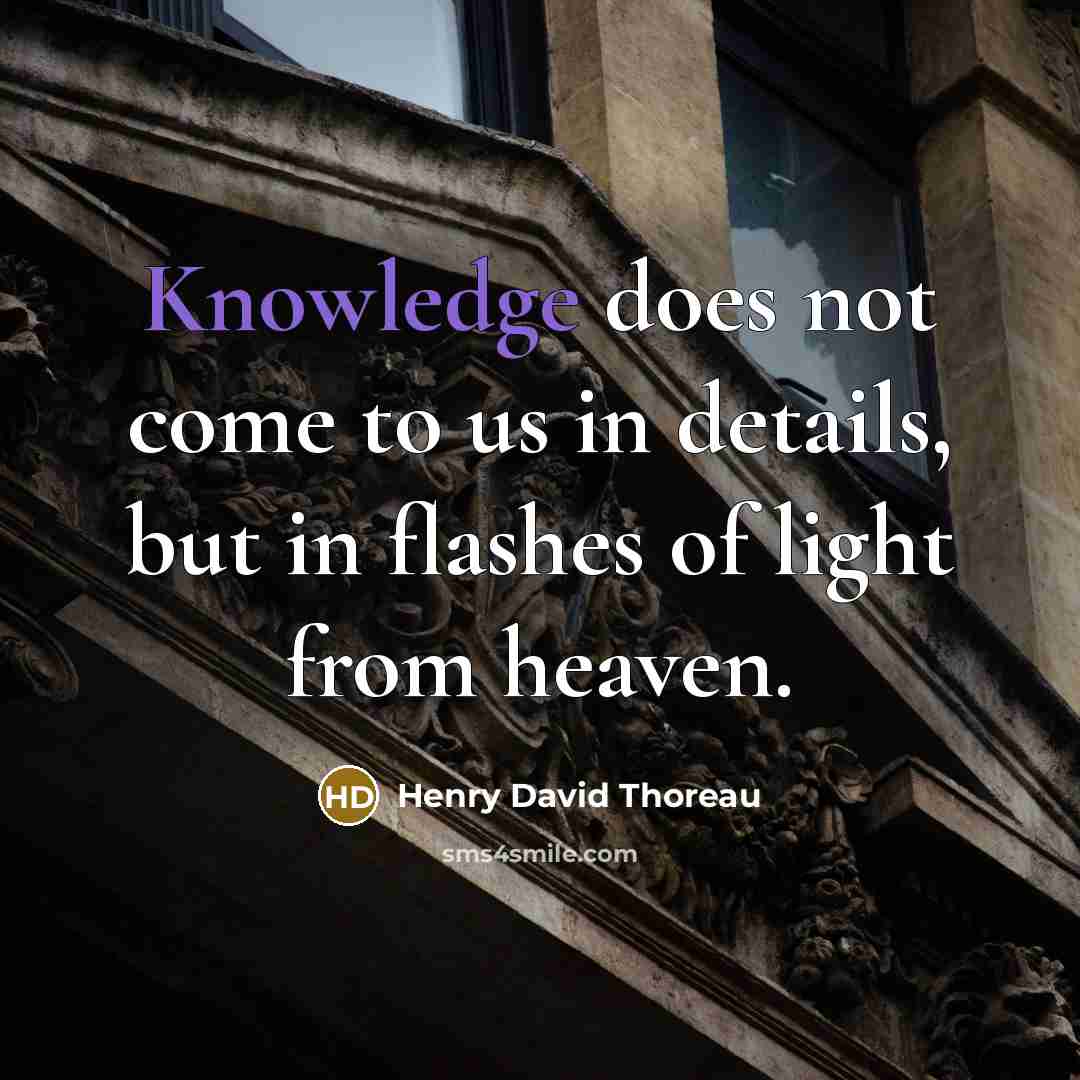 “Knowledge does not come to us in details, but in…” quote by Henry David Thoreau