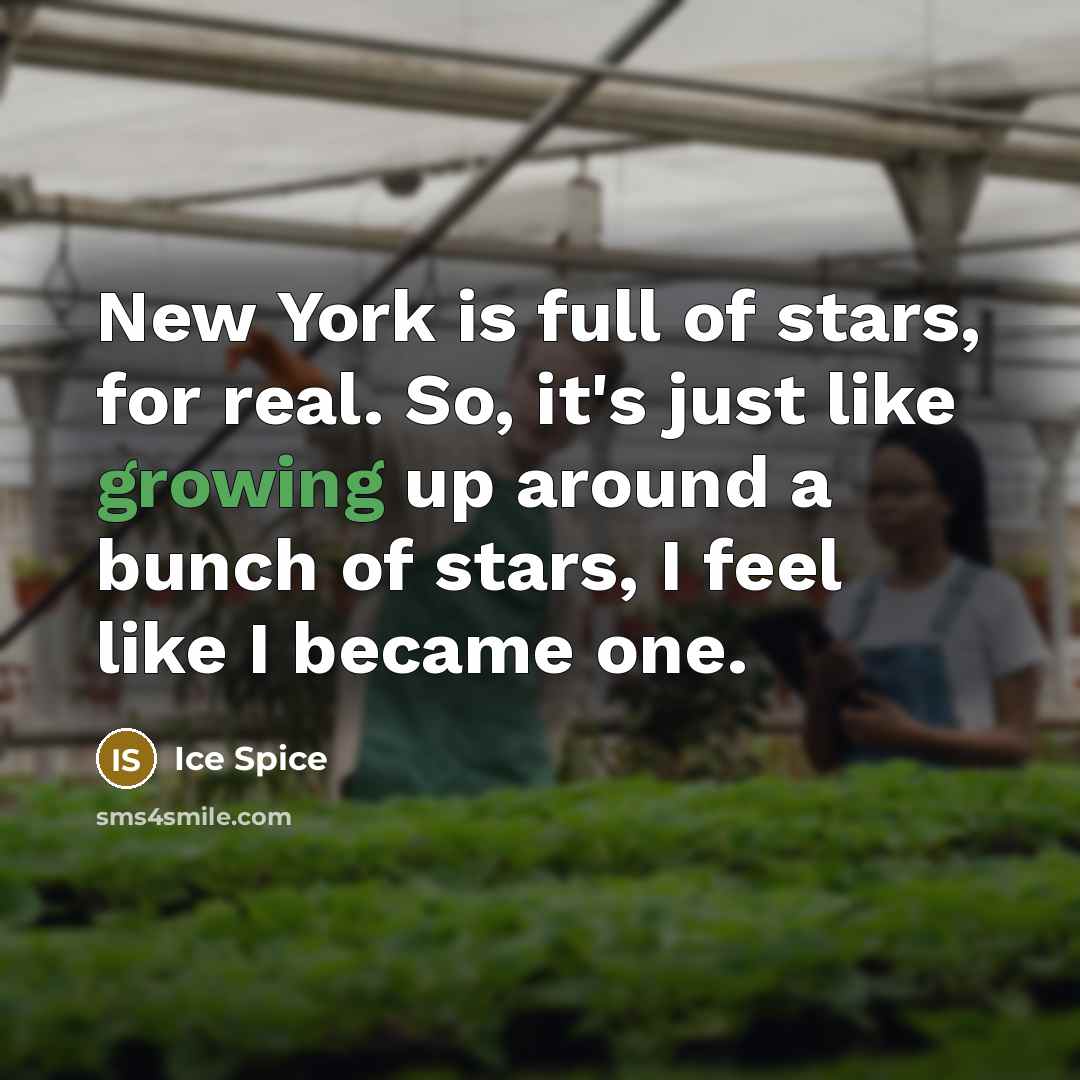 “New York is full of stars, for real. So, it's…” quote by Ice Spice