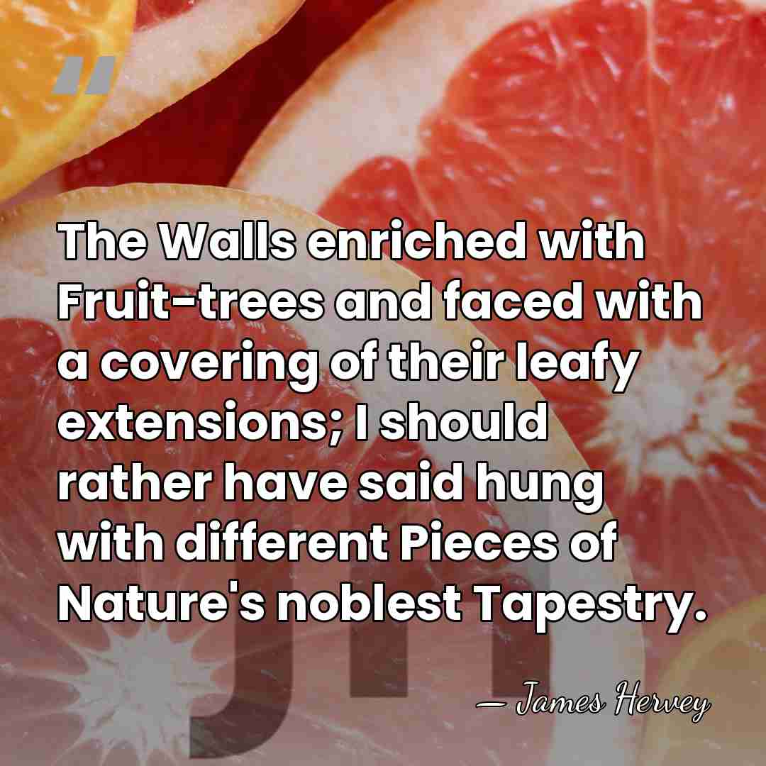 The Walls enriched with Fruit-trees and faced with a covering of their&hellip; - James Hervey