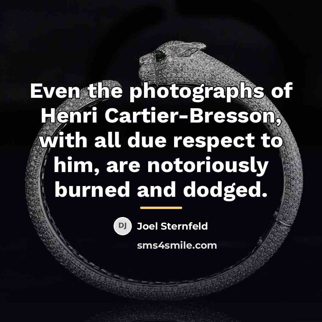 “Even the photographs of Henri Cartier-Bresson, with all due respect…” quote by Joel Sternfeld