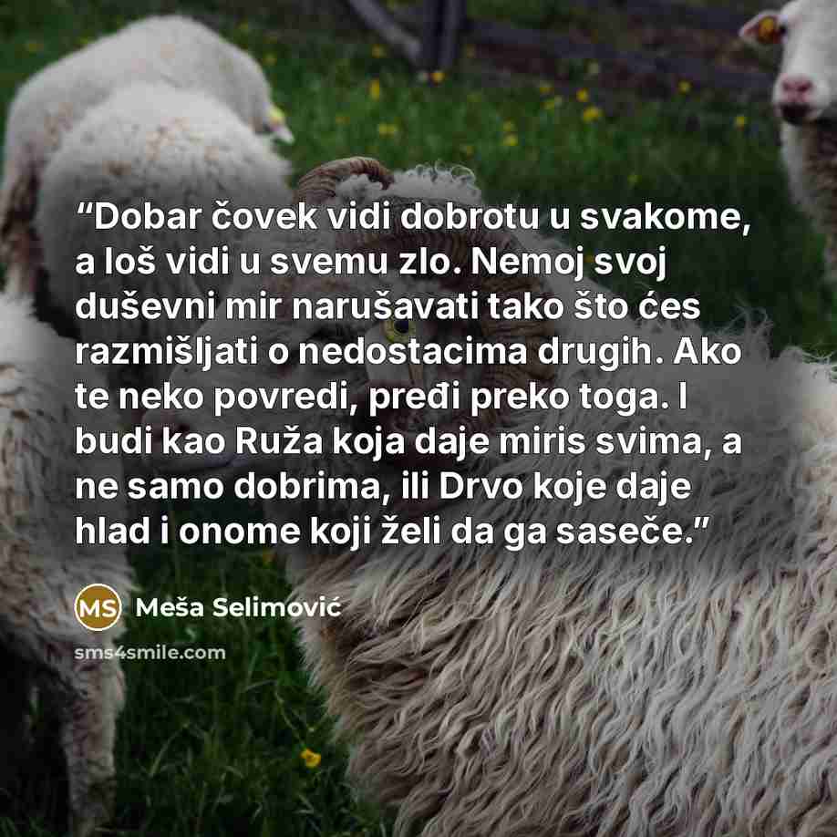 “Dobar čovek vidi dobrotu u svakome, a loš vidi u svemu zlo. Nemoj svoj duševni mir narušavati tako što ćes razmišljati o nedostacima drugih. Ako te neko povredi, pređi preko toga. I budi kao Ruža koja daje miris svima, a ne samo dobrima, ili Drvo koje daje hlad i onome koji želi da ga saseče.” quote by Meša Selimović