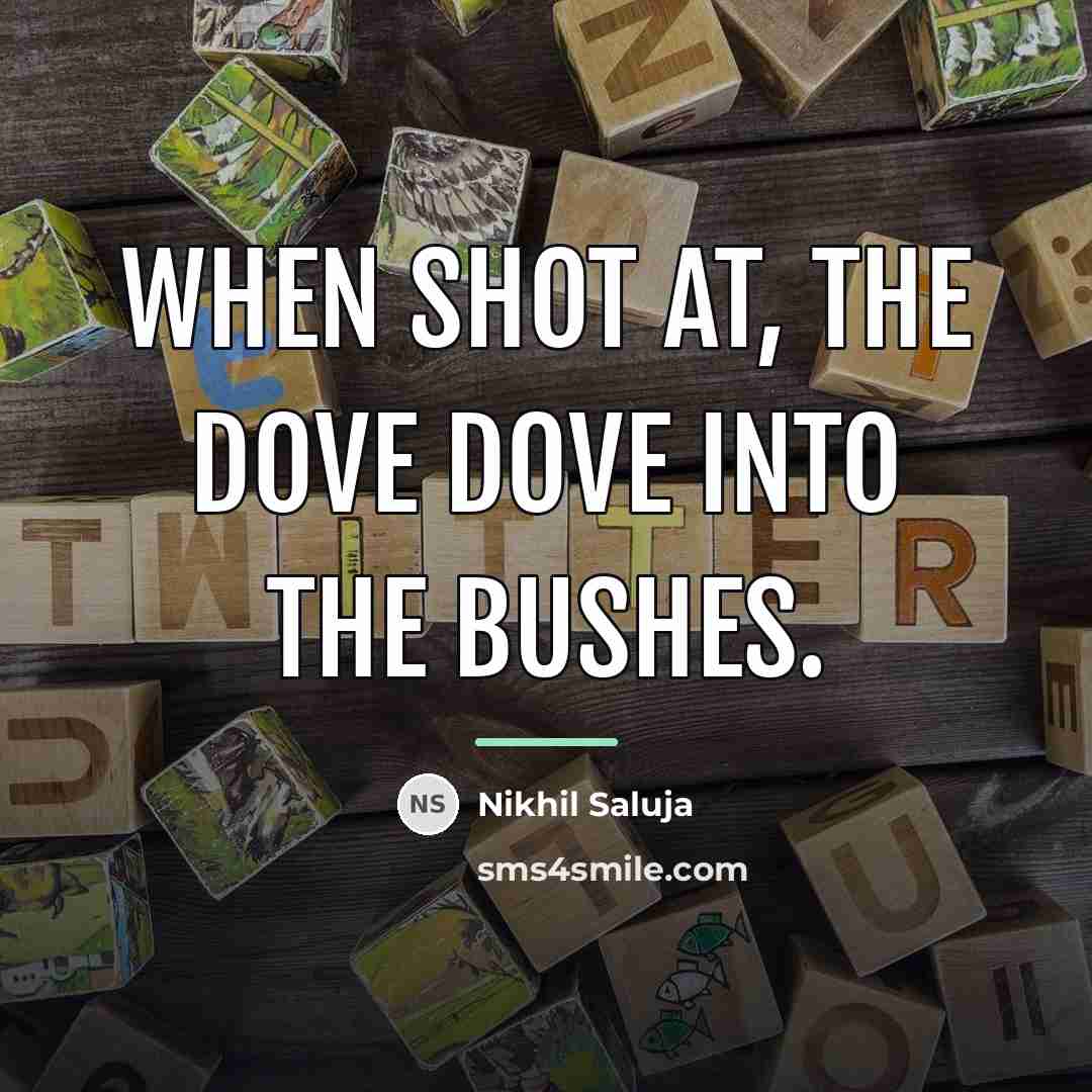 “When shot at, the dove dove into the bushes.…” quote by Nikhil Saluja