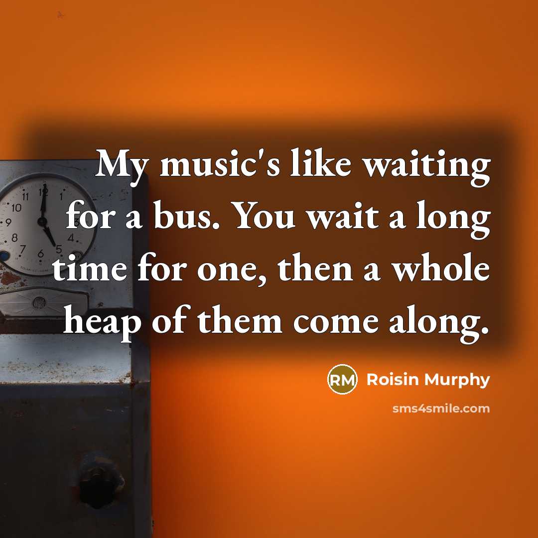 “My music's like waiting for a bus. You wait a…” quote by Roisin Murphy