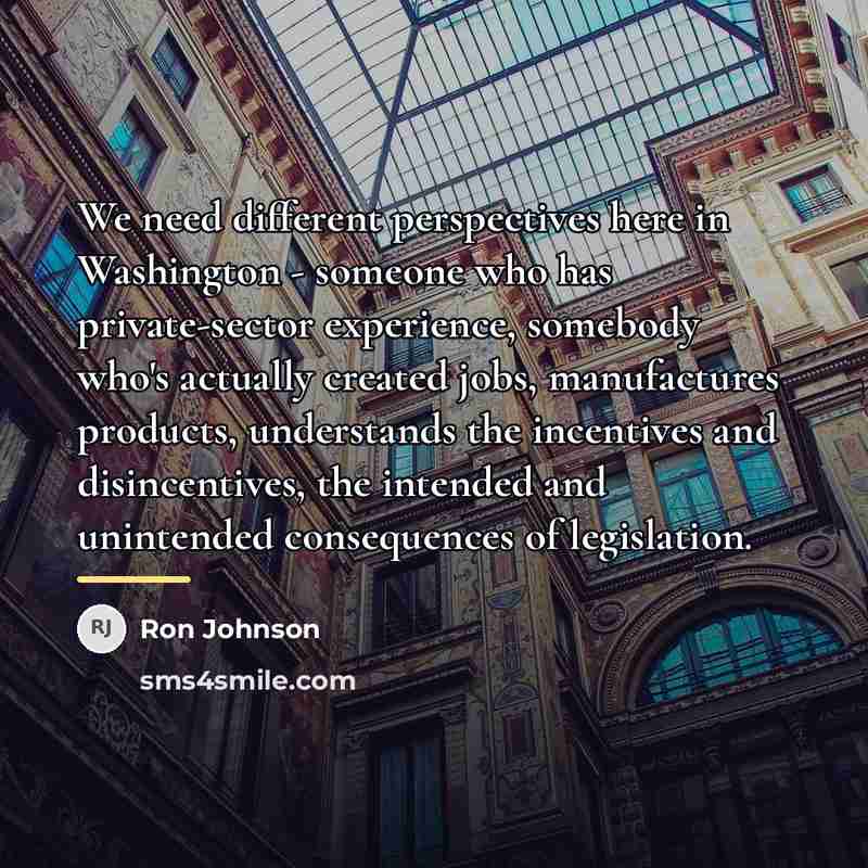 “We need different perspectives here in Washington - someone who…” quote by Ron Johnson