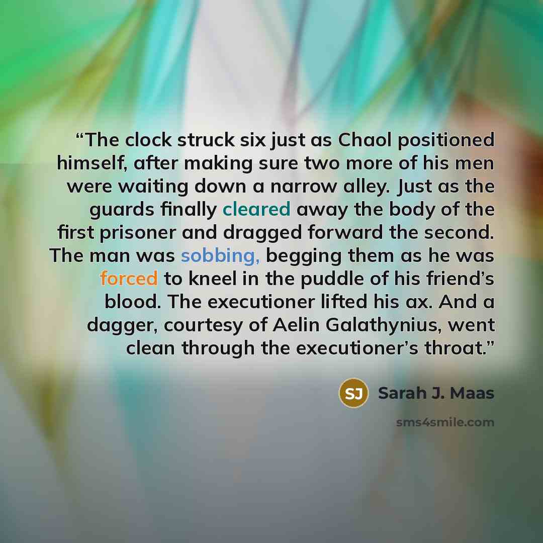 “The clock struck six just as Chaol positioned himself, after making sure two more of his men were waiting down a narrow alley. Just as the guards finally cleared away the body of the first prisoner and dragged forward the second. The man was sobbing, begging them as he was forced to kneel in the…” quote by Sarah J. Maas