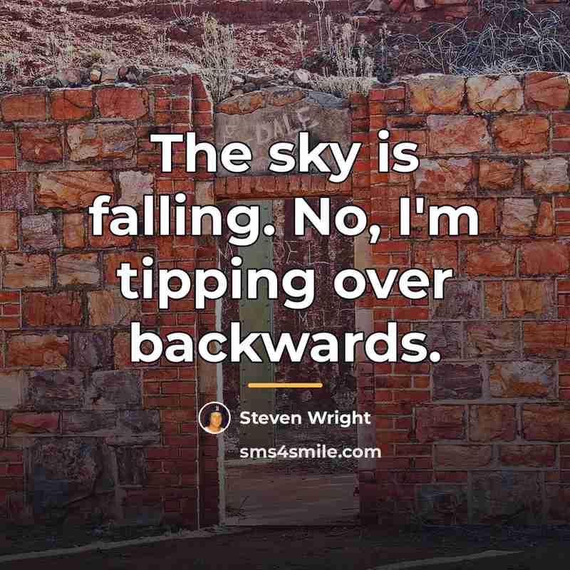 “The sky is falling. No, I'm tipping over backwards.…” quote by Steven Wright