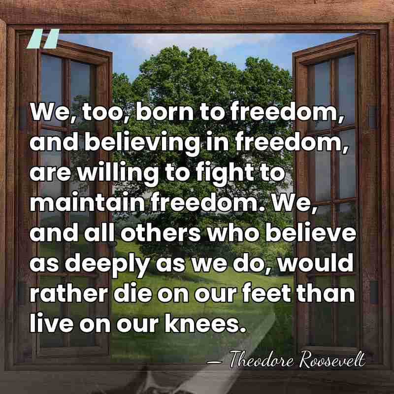 We, too, born to freedom, and believing in freedom, are willing to&hellip; - Theodore Roosevelt