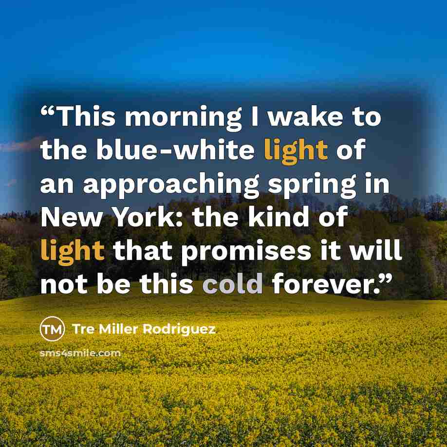 “This morning I wake to the blue-white light of an approaching spring in New York: the kind of light that promises it will not be this cold forever.” quote by Tre Miller Rodriguez
