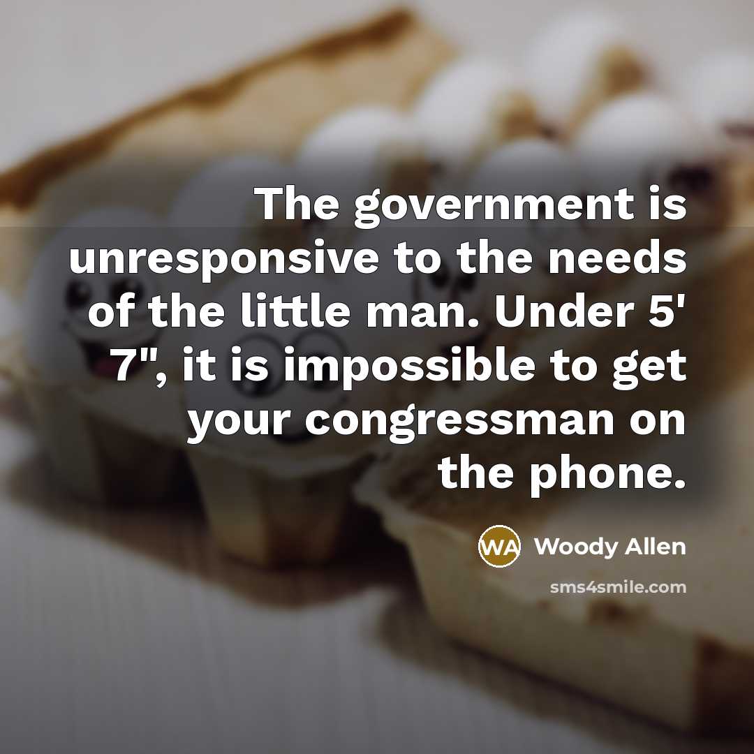 “The government is unresponsive to the needs of the little…” quote by Woody Allen
