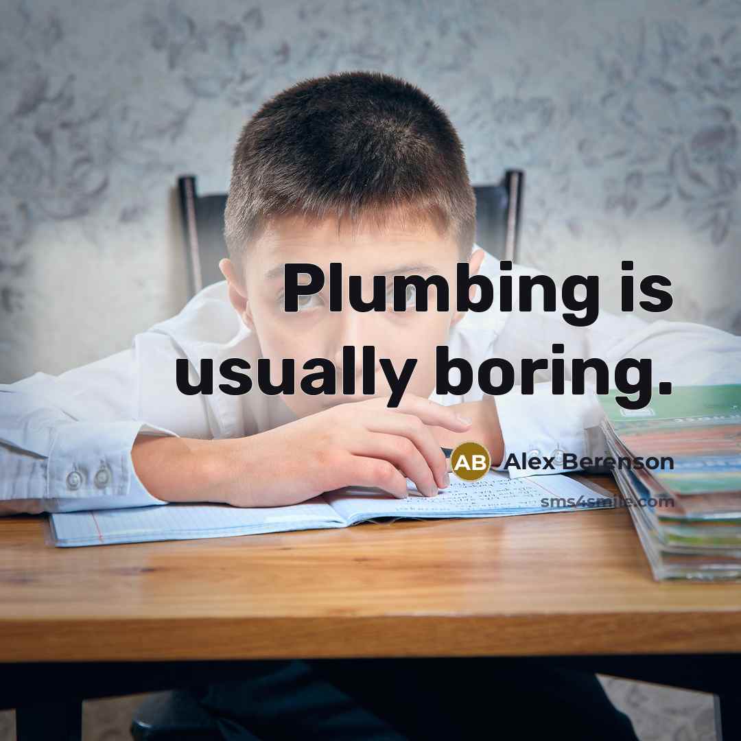 “Plumbing is usually boring.…” quote by Alex Berenson