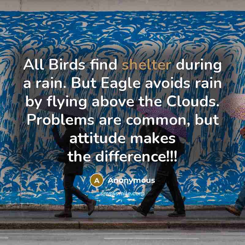 “All Birds find shelter during a rain. But Eagle avoids…” quote by Anonymous