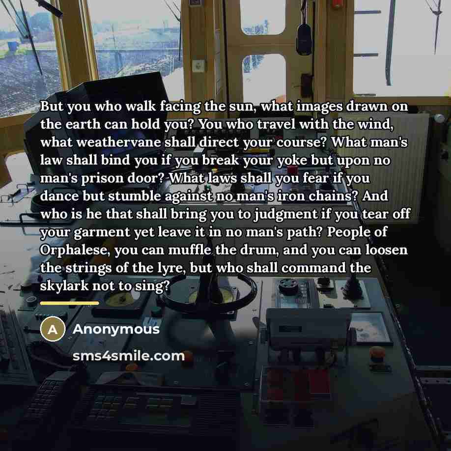 “But you who walk facing the sun, what images drawn…” quote by Anonymous