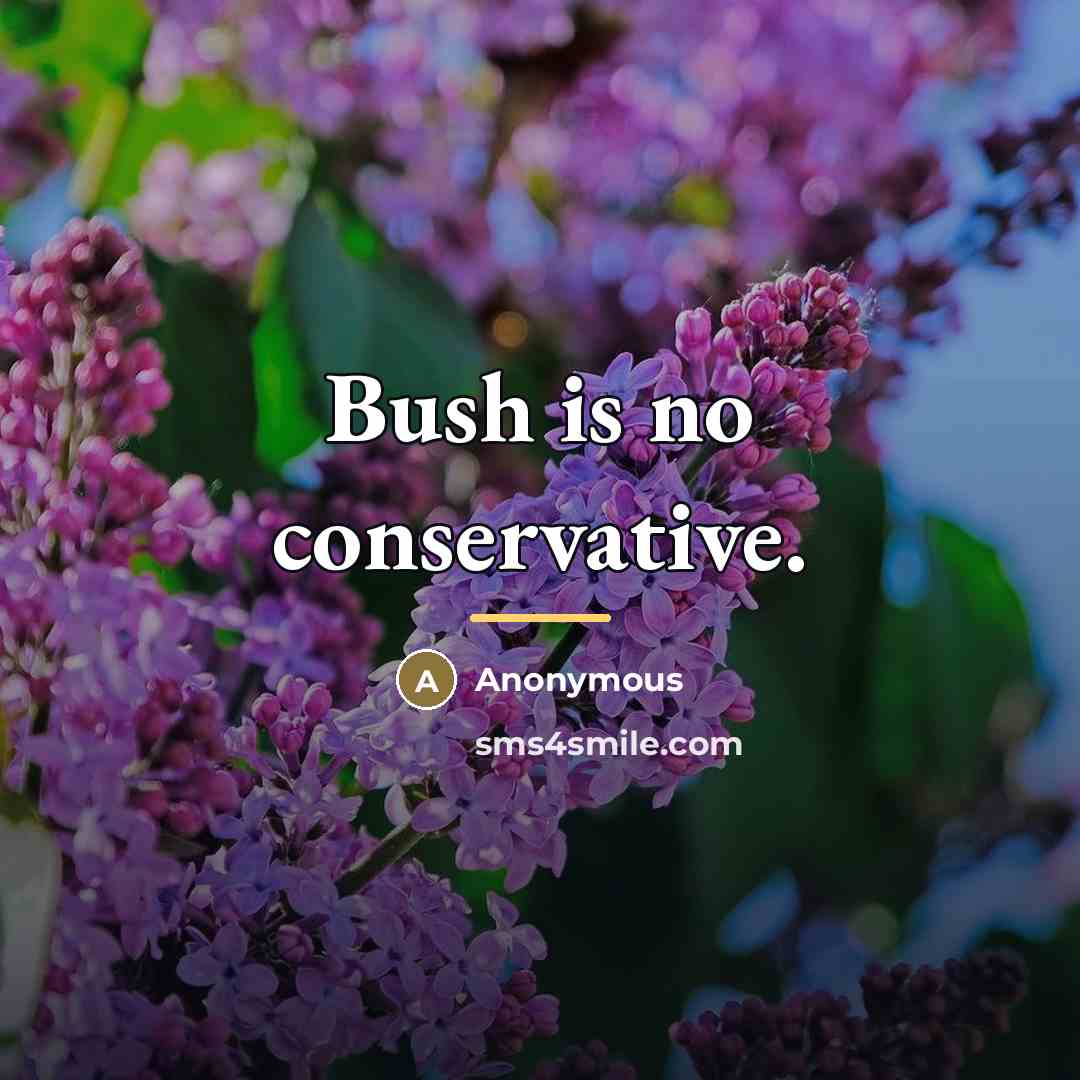 “Bush is no conservative.…” quote by Anonymous
