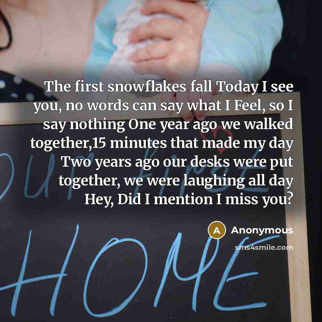 “The first snowflakes fall Today I see you, no words…” quote by Anonymous