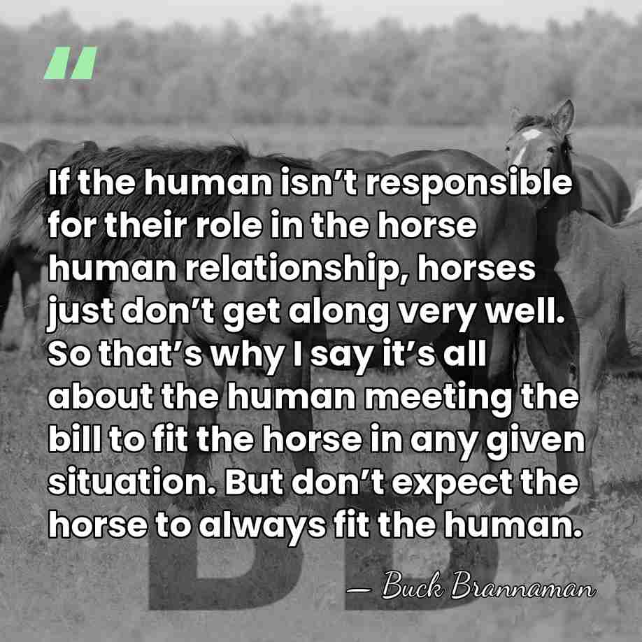 If the human isn’t responsible for their role in the horse human&hellip; - Buck Brannaman
