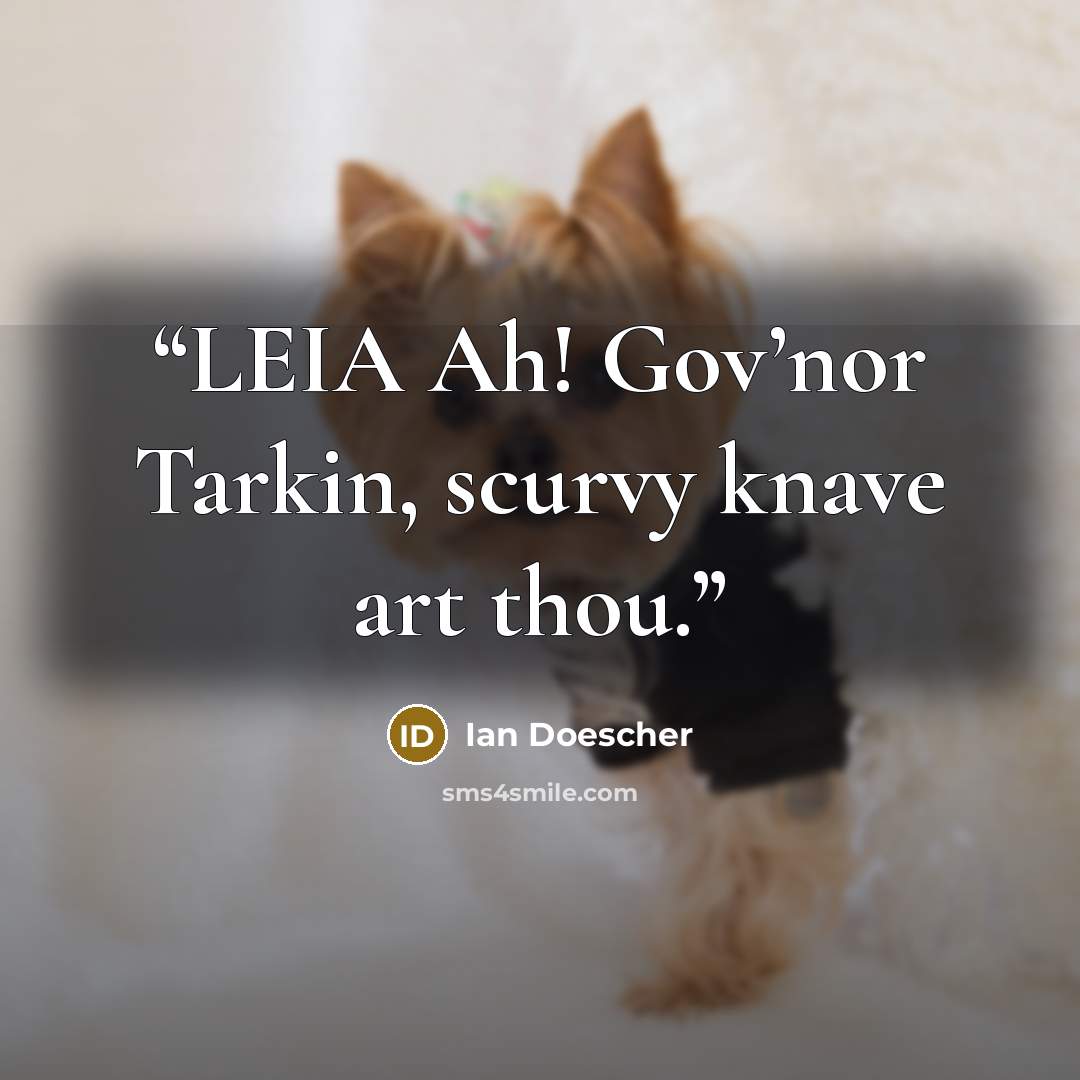 “LEIA Ah! Gov’nor Tarkin, scurvy knave art thou.” quote by Ian Doescher