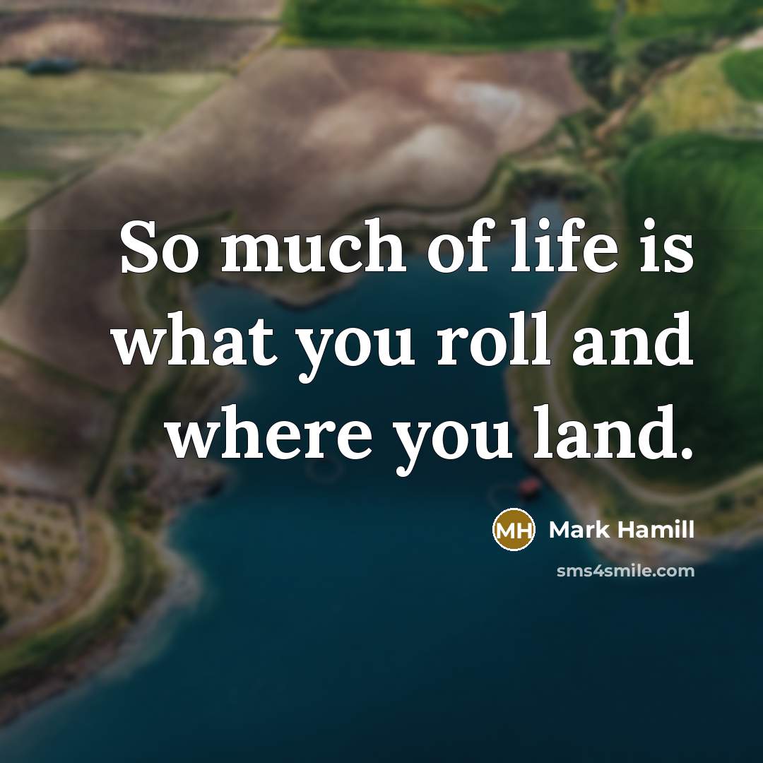 “So much of life is what you roll and where…” quote by Mark Hamill