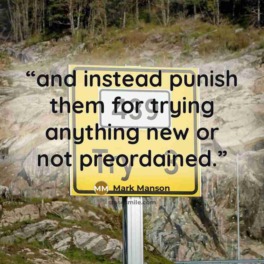 “and instead punish them for trying anything new or not preordained.” quote by Mark Manson