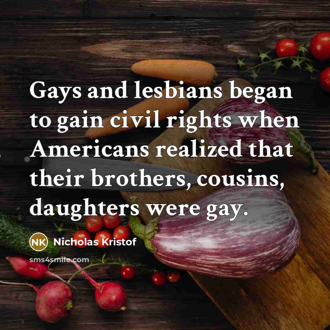 “Gays and lesbians began to gain civil rights when Americans…” quote by Nicholas Kristof