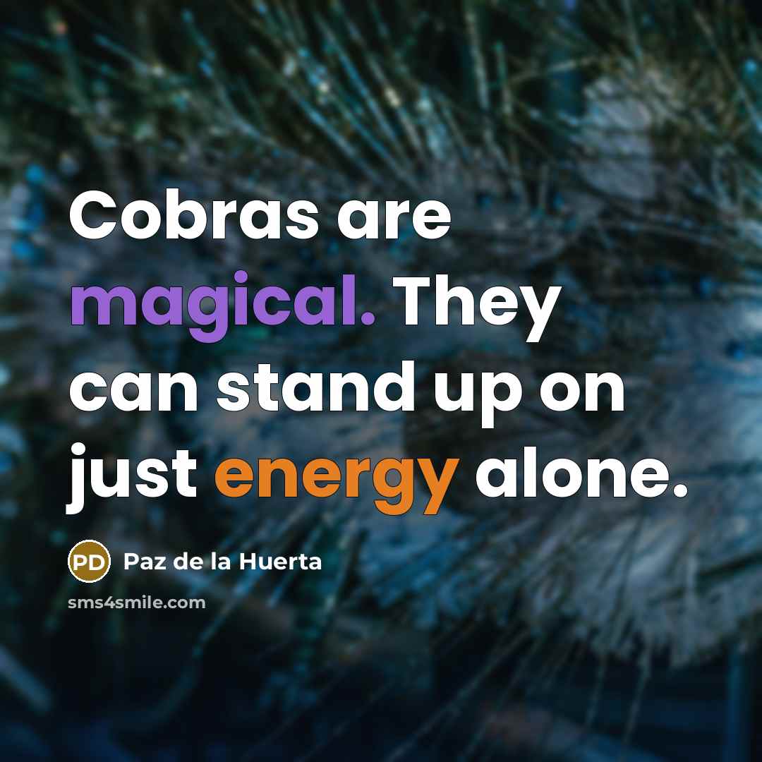 “Cobras are magical. They can stand up on just energy…” quote by Paz de la Huerta