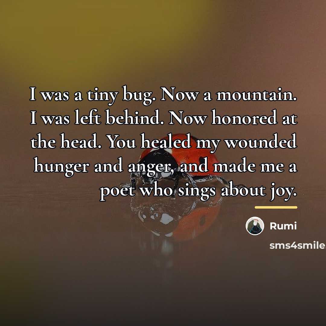 “I was a tiny bug. Now a mountain. I was…” quote by Rumi