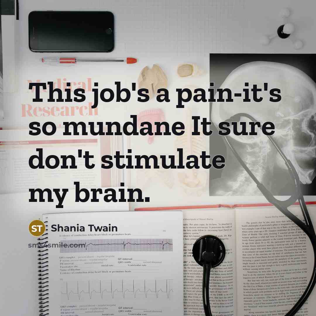 “This job's a pain-it's so mundane It sure don't stimulate…” quote by Shania Twain