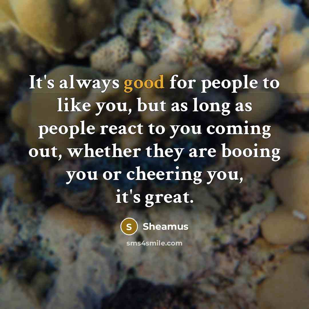 “It's always good for people to like you, but as…” quote by Sheamus