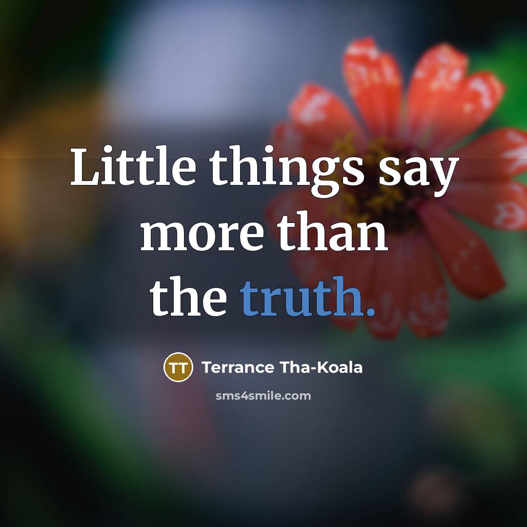 “Little things say more than the truth.” quote by Terrance Tha-Koala