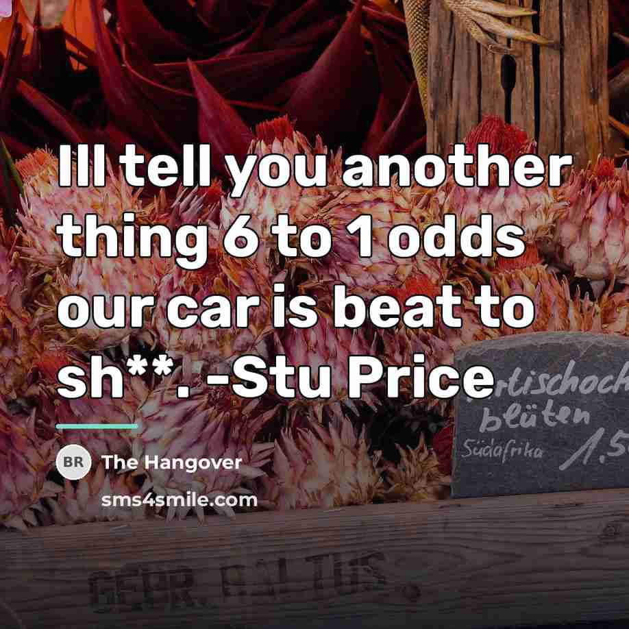 “Ill tell you another thing 6 to 1 odds our…” quote by The Hangover